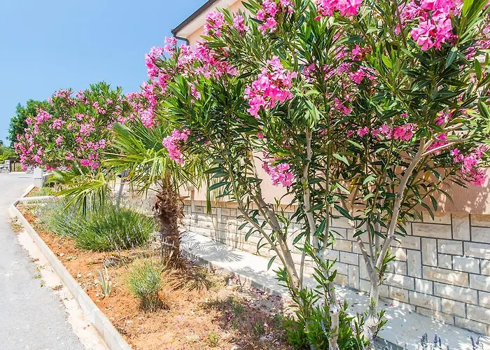 Apartmani Luka * Kornić